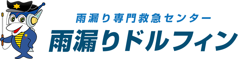 雨漏りドルフィン